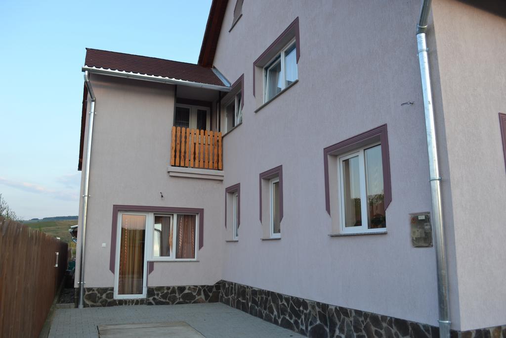 Ersa Panzio Hotel Székelyszentlélek Kültér fotó