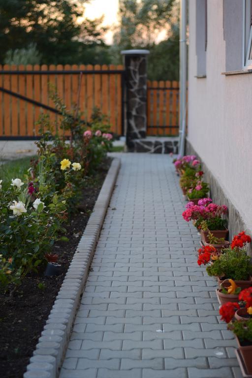 Ersa Panzio Hotel Székelyszentlélek Kültér fotó