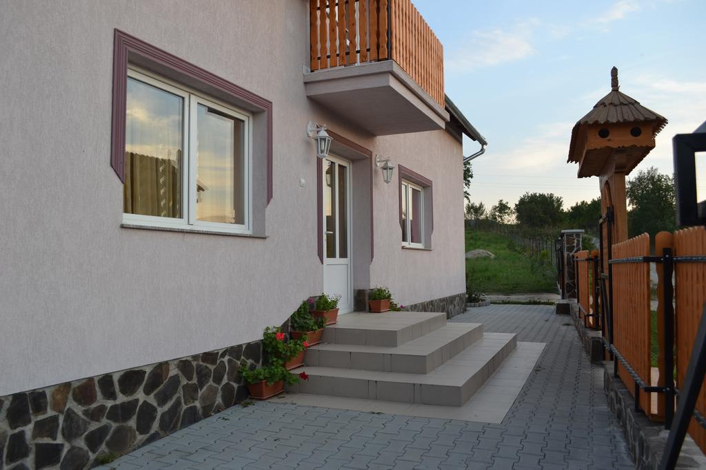 Ersa Panzio Hotel Székelyszentlélek Kültér fotó