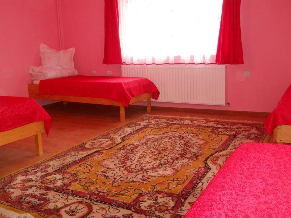 Ersa Panzio Hotel Székelyszentlélek Kültér fotó